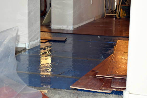 Professional Sewage Cleanup technician working in Long Lake, IL